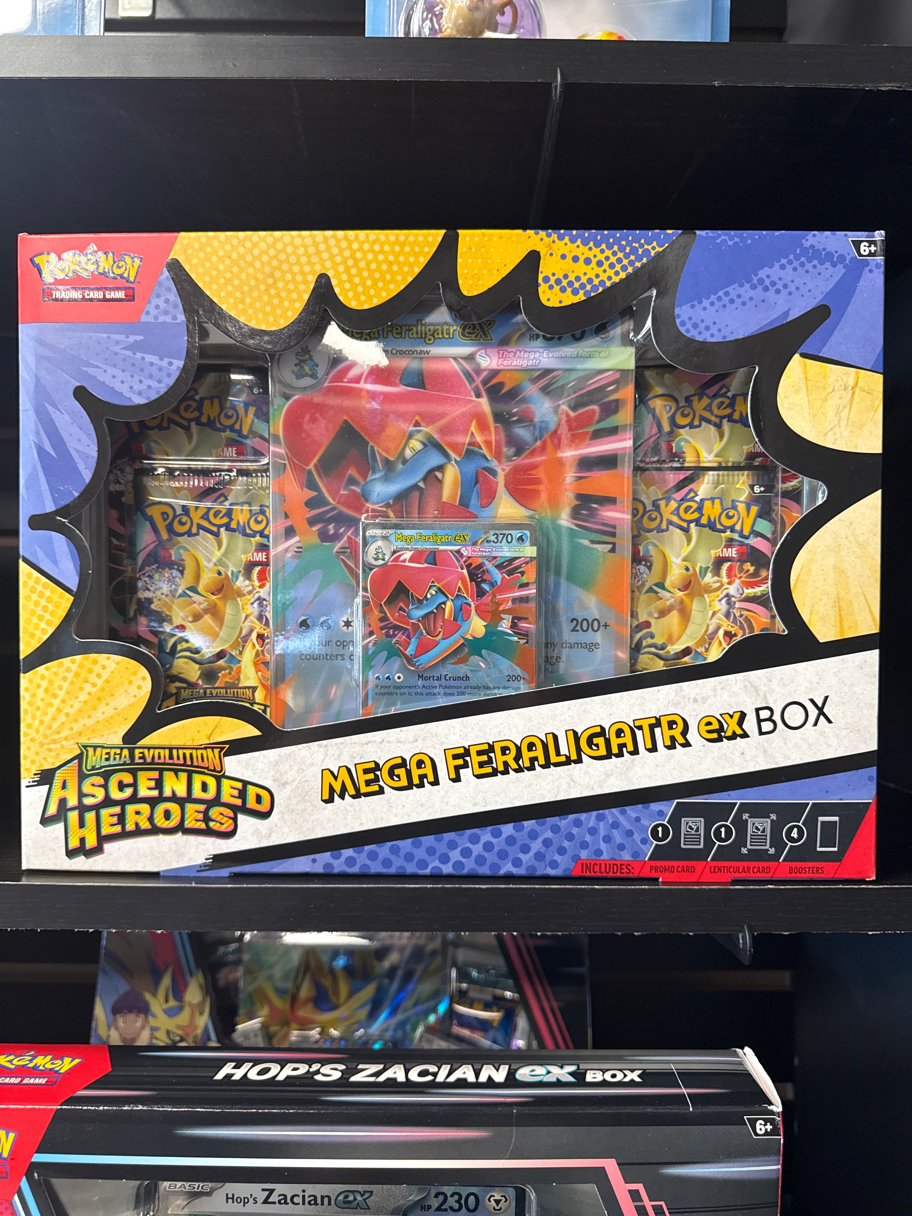Pokemon feraligatr ex box
